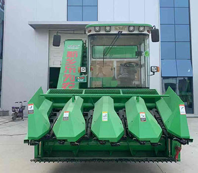 无套内谢少妇毛片A片999