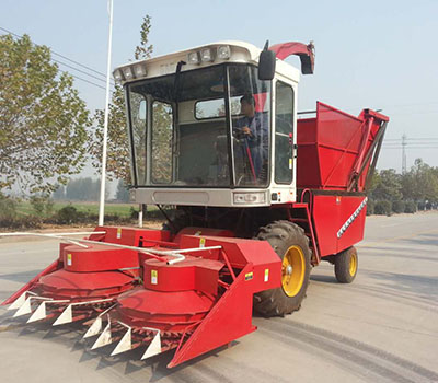 大胸校花莹莹被老头糟蹋