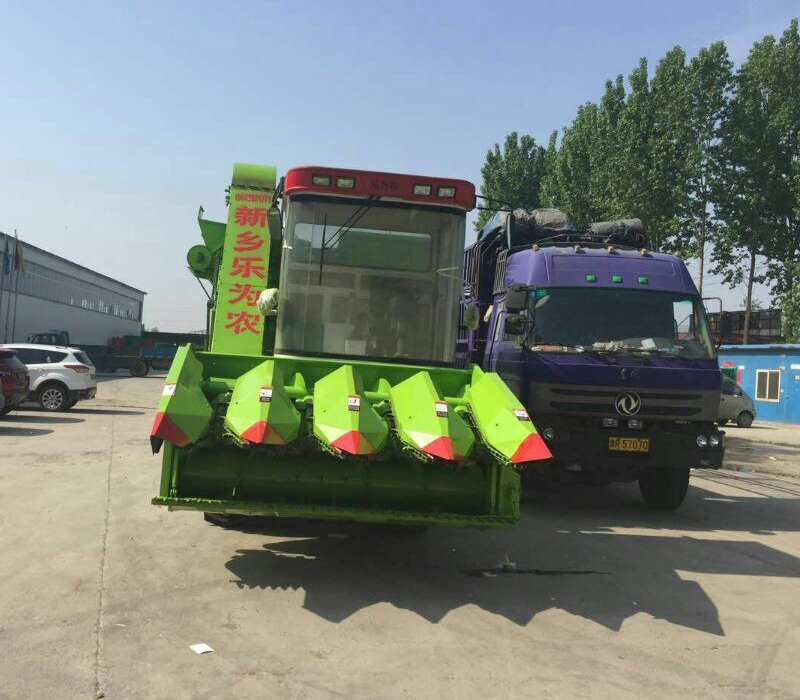 自走式无套内谢少妇毛片A片999